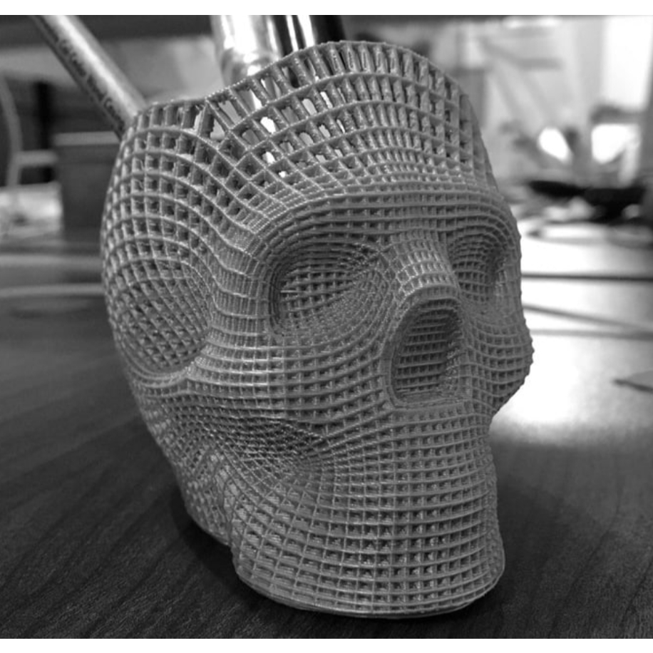 โมเดลกะโหลกตาข่าย 3D สไตล์ Wireframe (Art × Tech Sculpture)