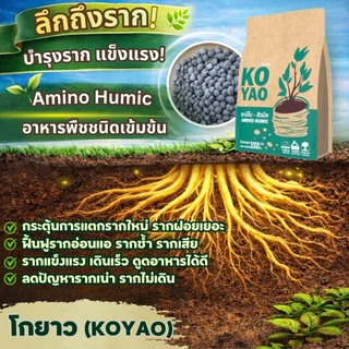 ปุ๋ยบำรุงพืช โกยาว Amino Humic สูตรพิเศษ สำหรับต้นไม้ ฟื้นฟูดิน แตกยอดแรง ใบเขียว สำหรับพืชทุกชนิด .