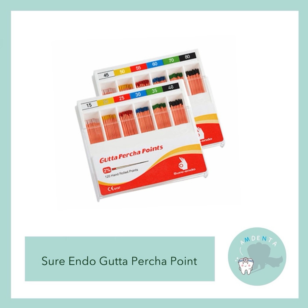 Gutta percha point Assort