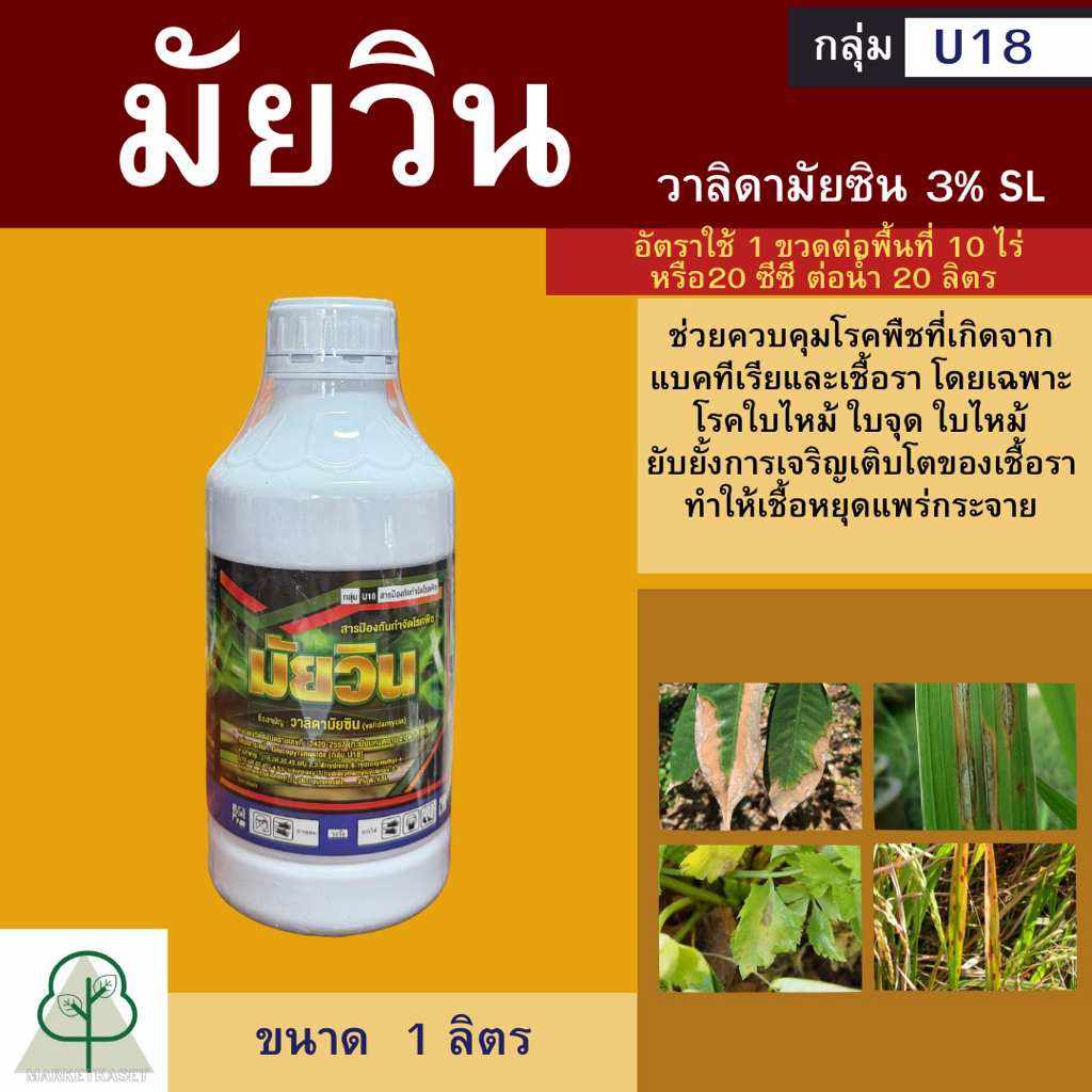 มัยวิน 1ลิตร วาลิดามัยซิน ป้องกันกำจัดโรค กาบใบแห้ง ในนาข้าว