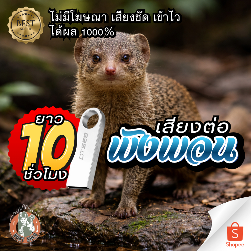 {{ยาว10 ชม.}} เสียงต่อล่อพังพอน ใส่ในแฟลชไดร์ฟ เสียงชัดใส ไม่มีโฆษณา พร้อมส่ง! มีเก็บเงินปลายทาง!!!