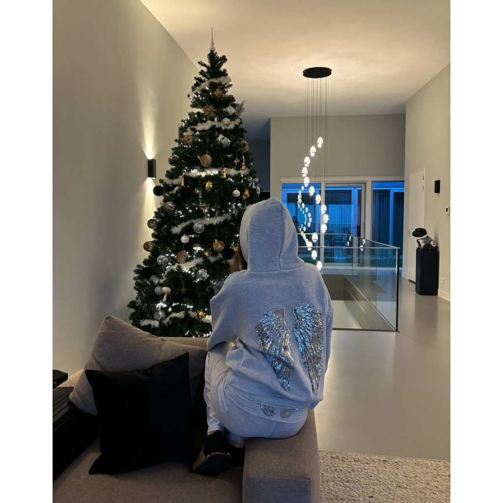 Subdued Wings sequin hoodie  เสื้อฮู้ด