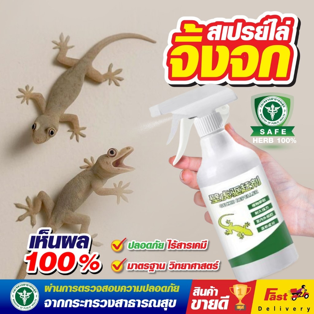 🦎 จิ้งจกไม่กล้ามาอีกแล้ว 🦎 ไล่จิ้งจก ยาไล่จิ้งจก ไล่ตุ๊กแก แค่ฉีดพ่นตรงที่จิ้งจกชอบมาแค่นั้นเอง ฉีดจิ้งจก สเปรย์จิงจก