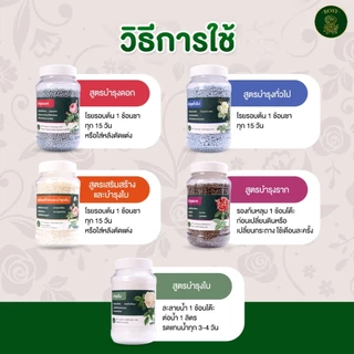 Rosy ปุ๋ยกุหลาบ (สูตรบำรุงดอก) ช่วยกระตุ้นการออกดอก เร่งรอบดอก บำรุงให้ดอกใหญ่ 500 กรัม