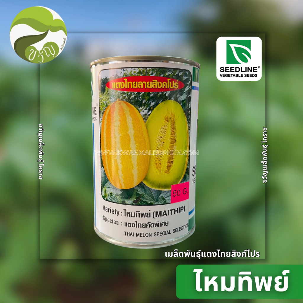 ไหมทิพย์ เมล็ดพันธุ์ แตงไทย แตงไทย สิงคโปร์ 50กรัม