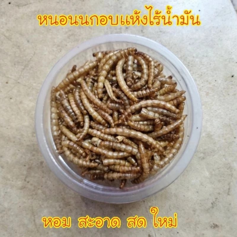 หนอนนกอบเเห้ง  โปรตีนสูง ขนาด 3 ออนซ์ สำหรับสัตว์เลี้ยง ส่่งด่วนทุกวัน ราคา ถูกที่สุด ดีลบีเคเค แกลเลอรีภาพที่ 3