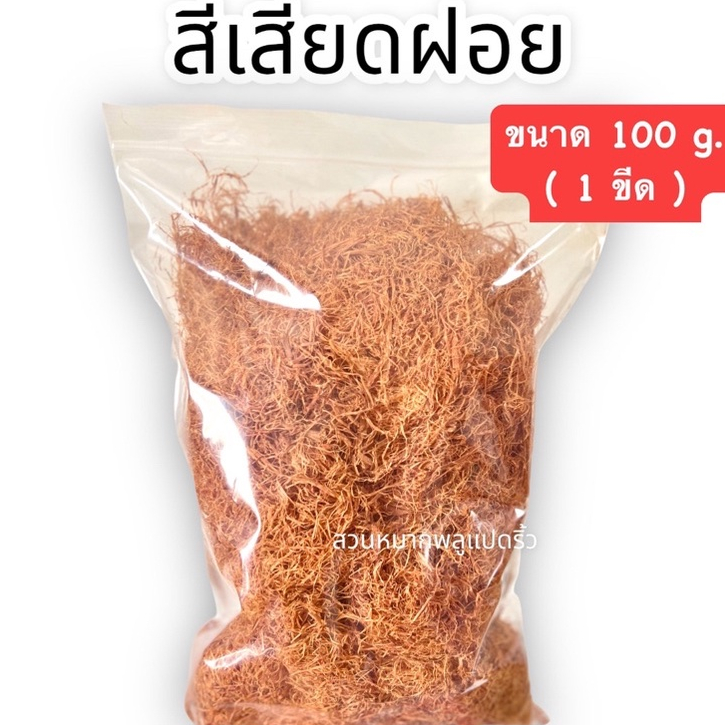 สีเสียด 100 กรัม ก้อนสีเสียด200กรัม ไม้สีเสียดใหม่ สีเสียดฝอย สีเสียดหมักปลากัด สีเสียดกินหมาก