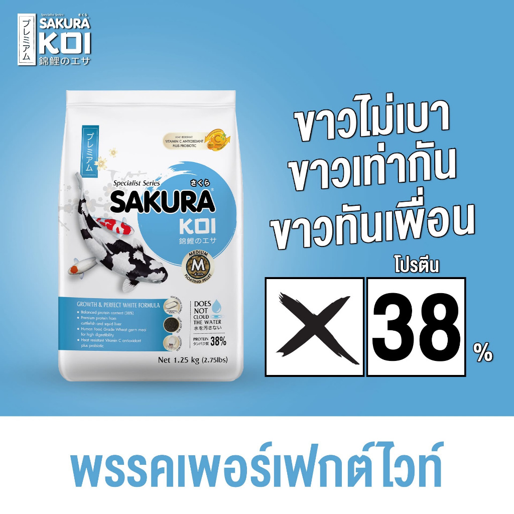 💥อาหารปลาคาร์ฟซากุระโค่ย สูตรเร่งโตเร่งขาว ขนาด 1.25 kg. ( SAKURA GROWTH & PERFECT WHITE FORMULA )