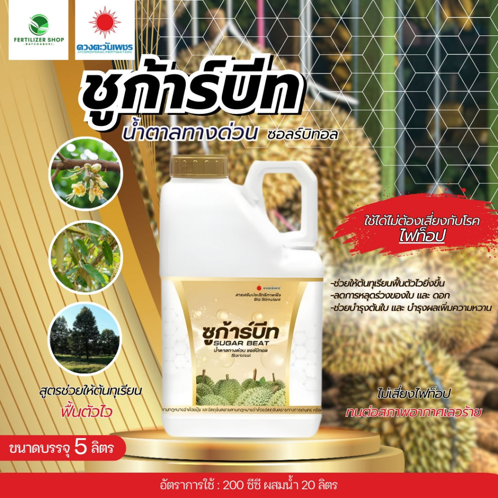 ซูก้าร์บีท น้ำตาลทางด่วน แกลลอน (ขนาด 5 ลิตร) ดวงตะวันเพชร.
