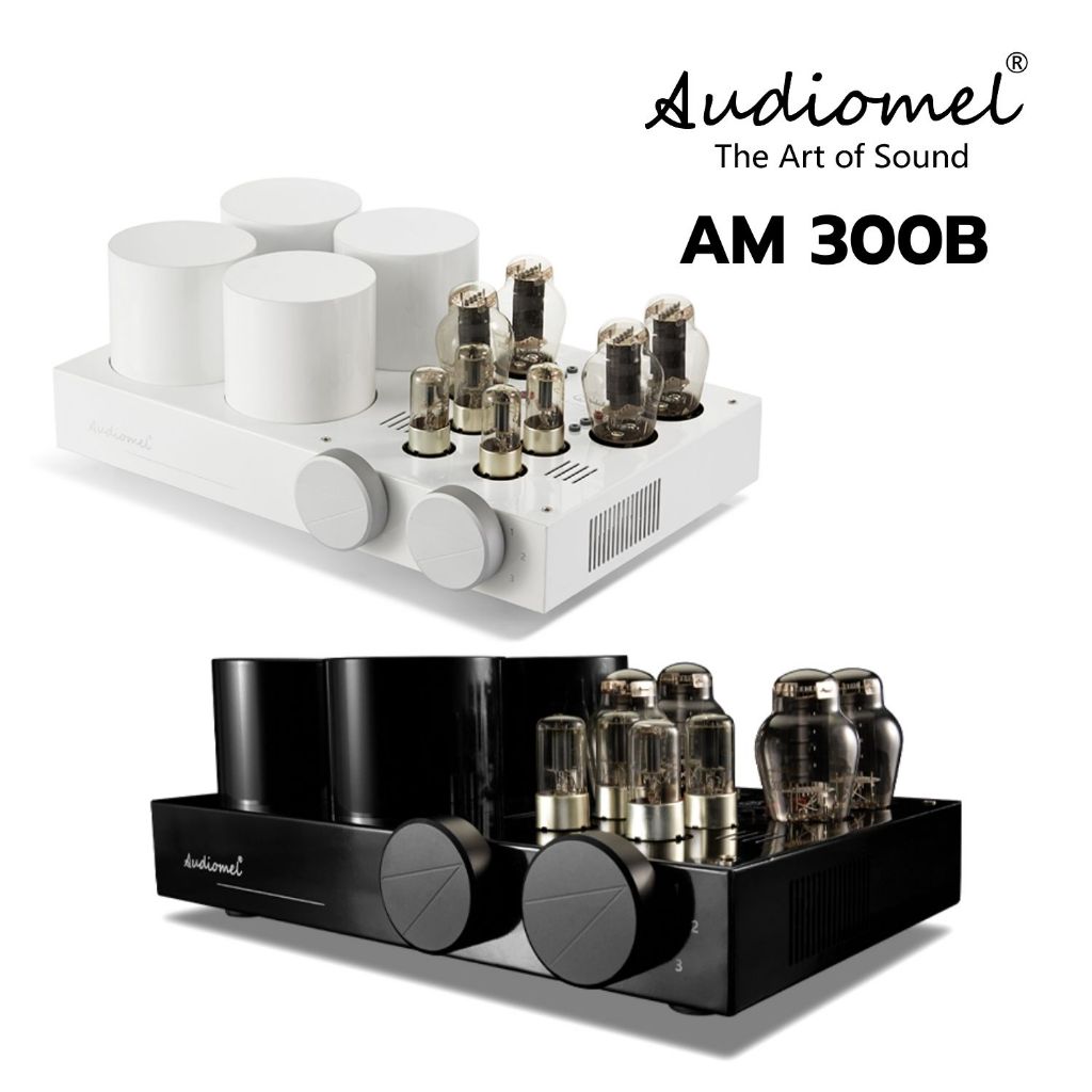 Integrated Amp Audiomel 300B Tube Amplifier (New)