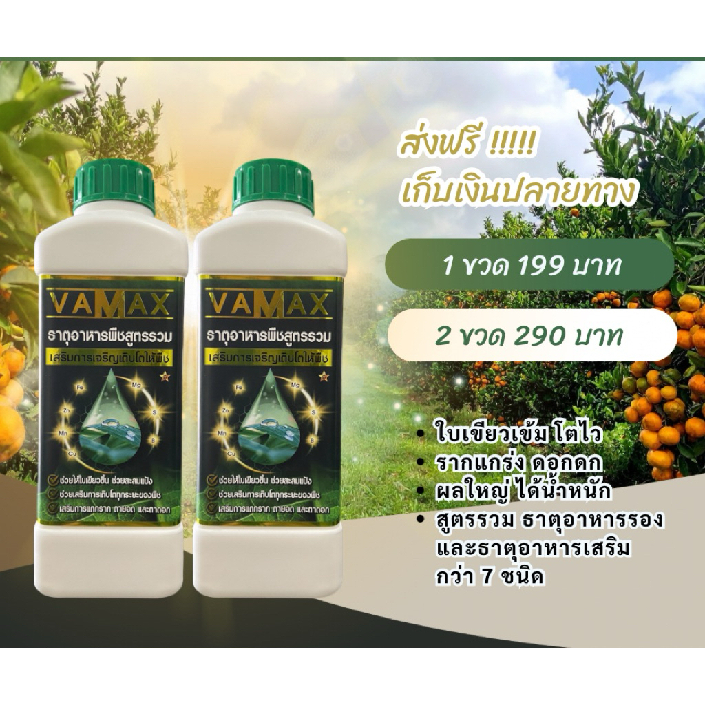 Vamax ธาตุอาหาาพืชสูตรรวม 1 แถม 1