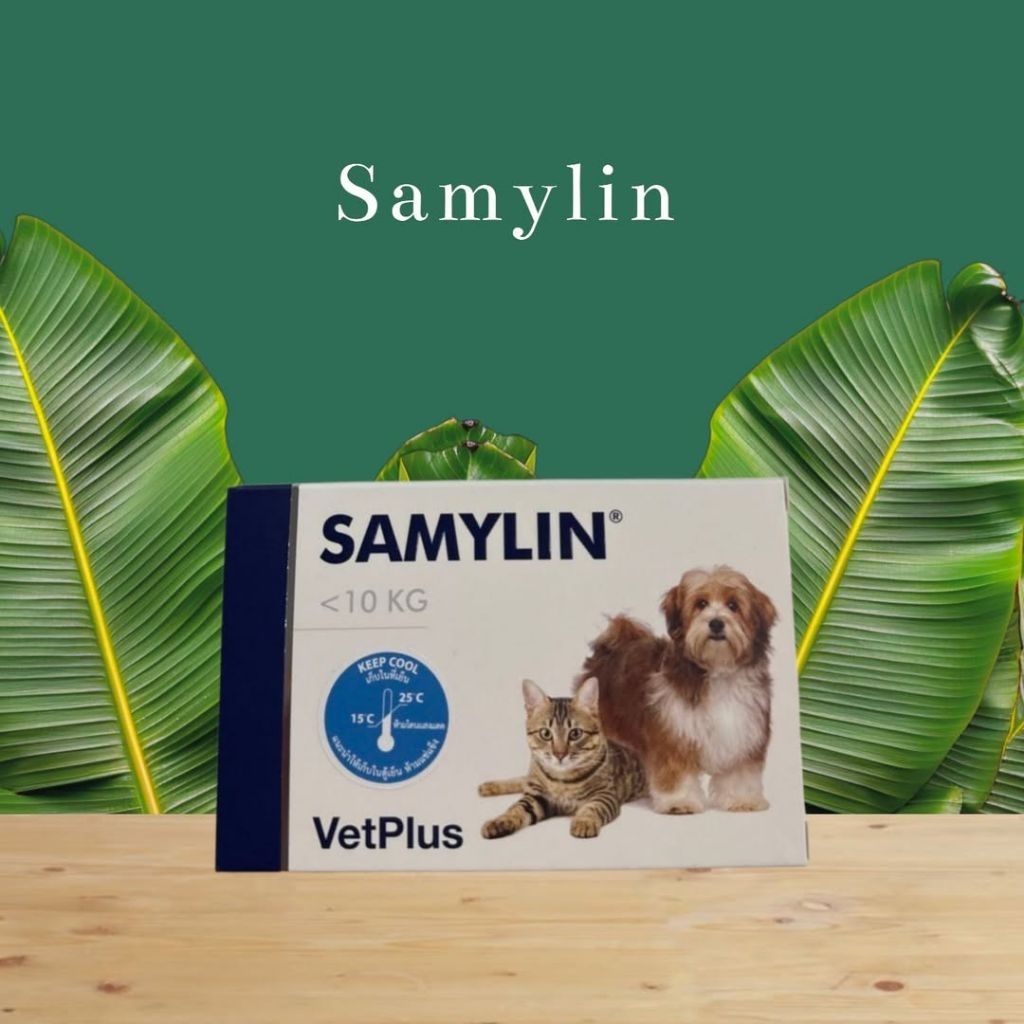 ‍  Samylin small นน.