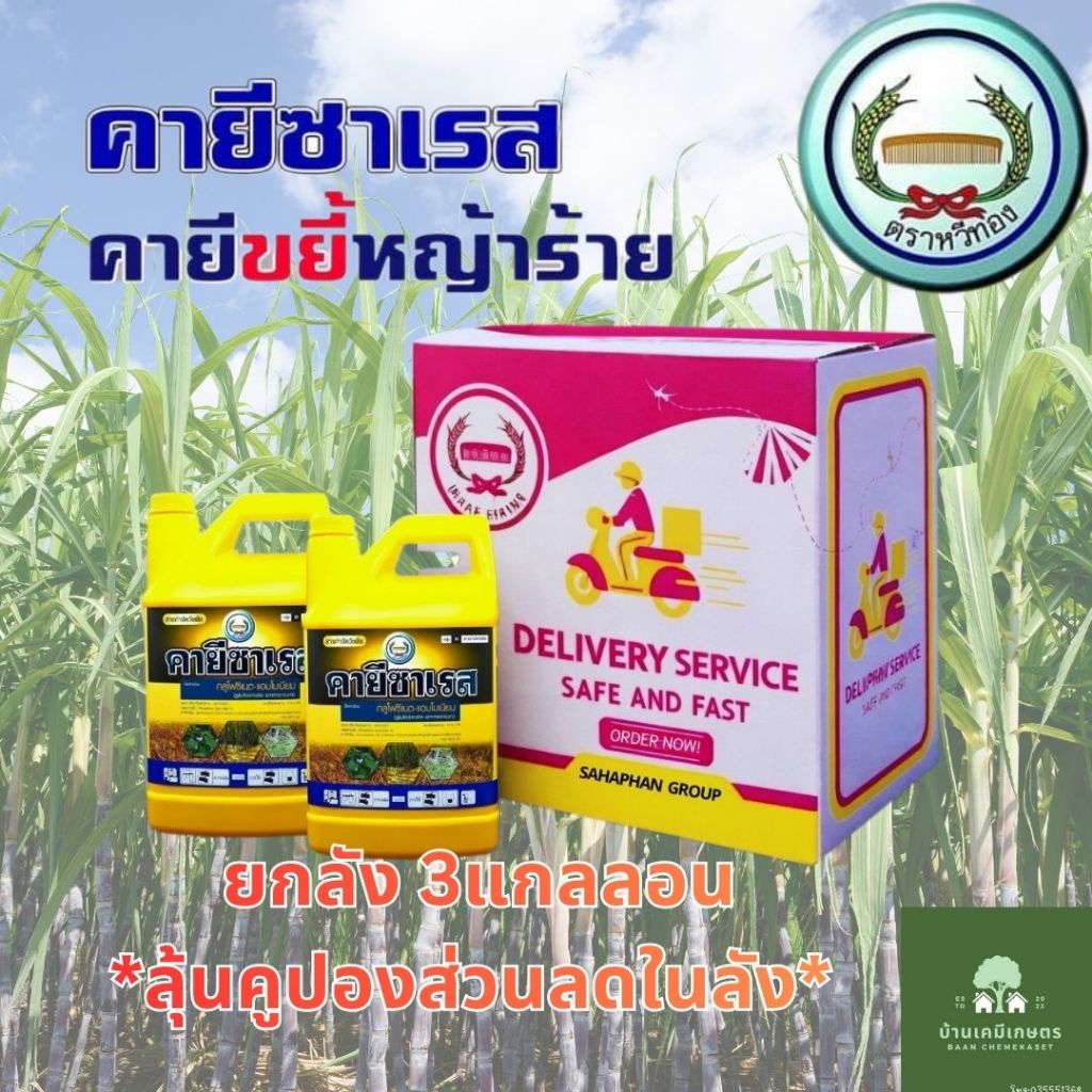 คายีซาเรส 4ลิตร ยกลัง 3แกลลอน กำจัดทั้งใบแคบและใบกว้าง