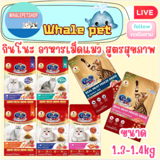 Ginno Dry Health กินโนะ อาหารเม็ดแมว สูตรสุขภาพ 1.3-1.5 Kg.