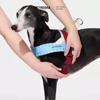 VETRESKA สายรัดอกและสายจูงสุนัข MIST AND MERLOT PET HARNESS & LEASH SET