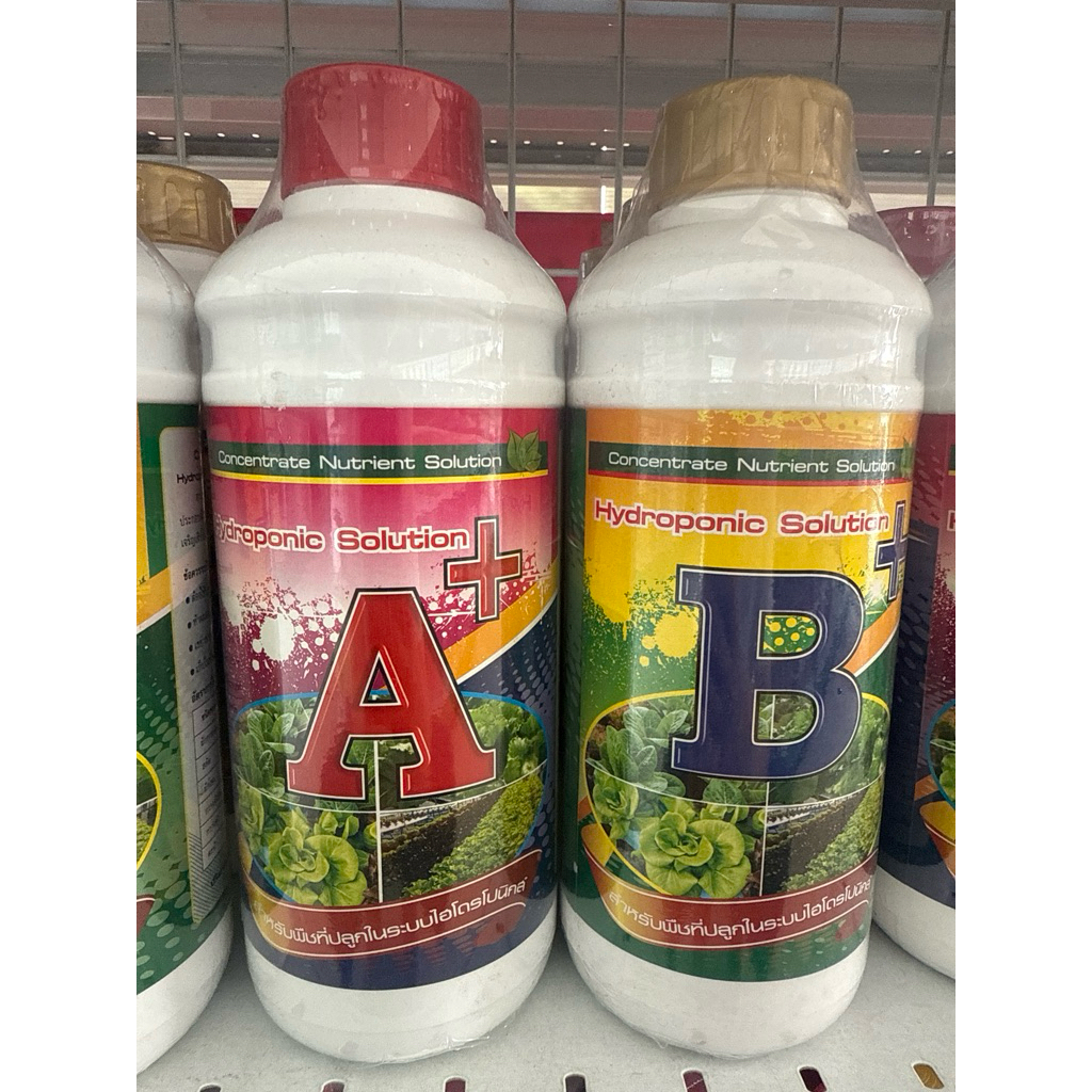 ปุ๋ย A+B (1ลิตร) ปุ๋ยไฮโดรโปนิกส์