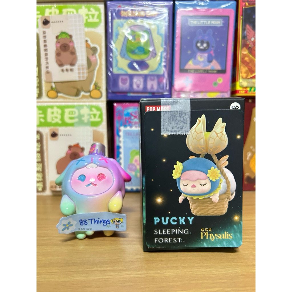 PUCKY SLEEPING FOREST : PHYSALIS น้องกระเช้า