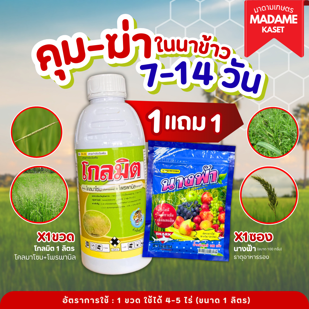(โปร1แถม1) โคลมาโซน+โพรพานิล (โกลมิต) คุม+ฆ่าหญ้าในขวดเดียว ฉีดพ่นหลังหลังหว่าย 7-15 วัน ข้าวไม่ช้ำ 1 ลิตร