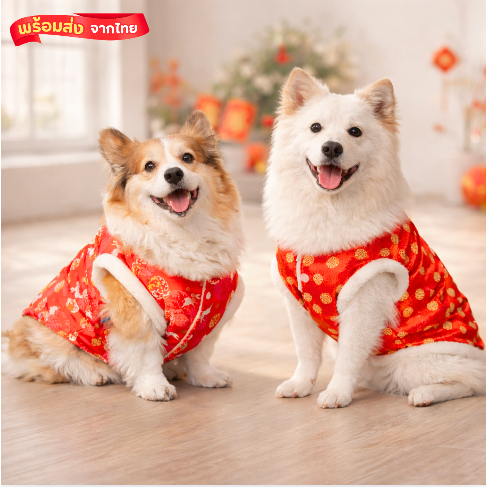 BIG DOG ชุดจีนหมาใหญ่ เสื้อและกระโปรงตรุษจีน  มีผ้าไหมมังกร ผ้าเฟอร์นุ่ม รองรับอก 38 นิ้ว พร้อมส่ง