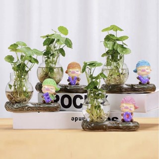 แจกันปลูกต้นไม้ไฮโดรโปนิกส์ ไม้น้ำ ลายตุ๊กตาหมู