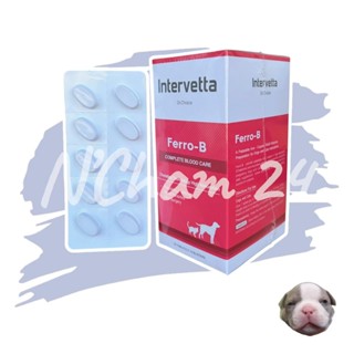 Dr.Choice Ferro-B (Exp.10/2027) บรรจุ 100 เม็ด อาหารเสริมเพื…