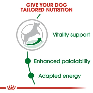 [EXP6/2027] Royal canin Mini adult 8+ 8 กก. อาหารสุนัขสูงวัย 8 ปีขึ้นไปพันธุ์เล็ก