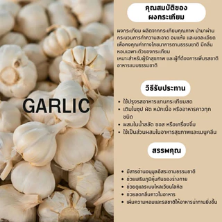 ผงกระเทียม 100% (Garlic Powder) บดละเอียด กลิ่นหอม ขนาด 100 กรัม