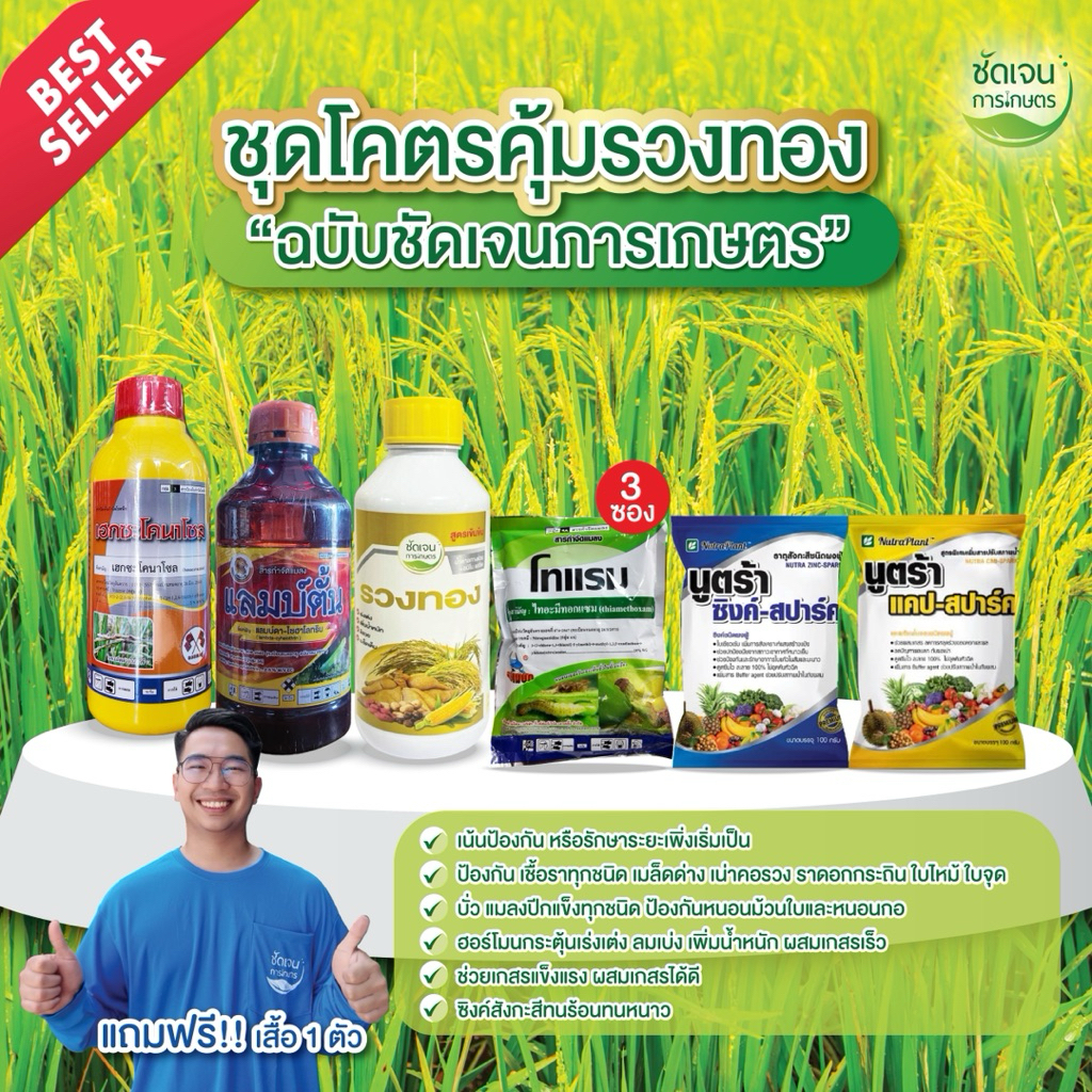 ชุดโคตรคุ้มรวงทอง (แถมเสื้อฟรี1ตัว)ป้องกัน 20 ไร่ ครอบคลุมทุกอย่างในนาข้าว ระยะรับท้อง โผล่เผล่และสลัดเกสร