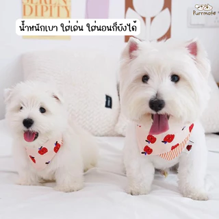 ผ้าพันคอสัตว์เลี้ยงลายน่ารัก ผ้าซับน้ำลายทรงสามเหลี่ยม สำหรับหมาและแมว วัสดุโพลีเอสเตอร์ คลิปล็อกพลาสติก ใส่