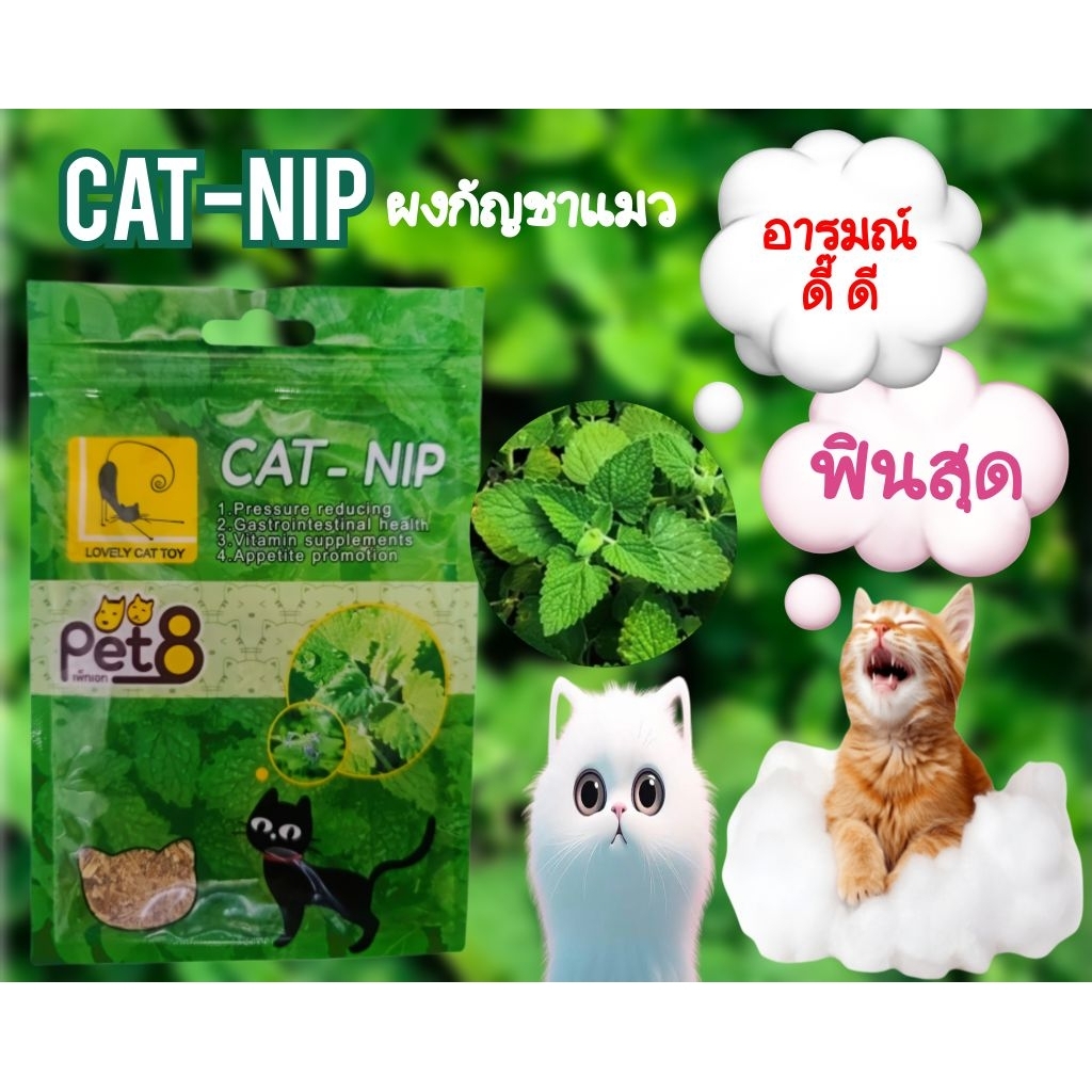 ผงตำแยแมวCat-nip 5g. ผงเคลิบเคลิ้มสำหรับแมวช่วยให้แมวอารมณ์ดี