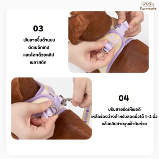 Mango สายจูงสุนัขขนาดเล็กพร้อมเสื้อกั๊ก ปลอกคอสำหรับลูกสุนัข สายจูงนิ่ม ใส่สบาย Pet Dog Harness and Leash Set for Small
