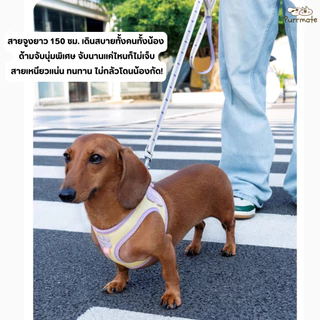 Mango สายจูงสุนัขขนาดเล็กพร้อมเสื้อกั๊ก ปลอกคอสำหรับลูกสุนัข สายจูงนิ่ม ใส่สบาย Pet Dog Harness and Leash Set for Small