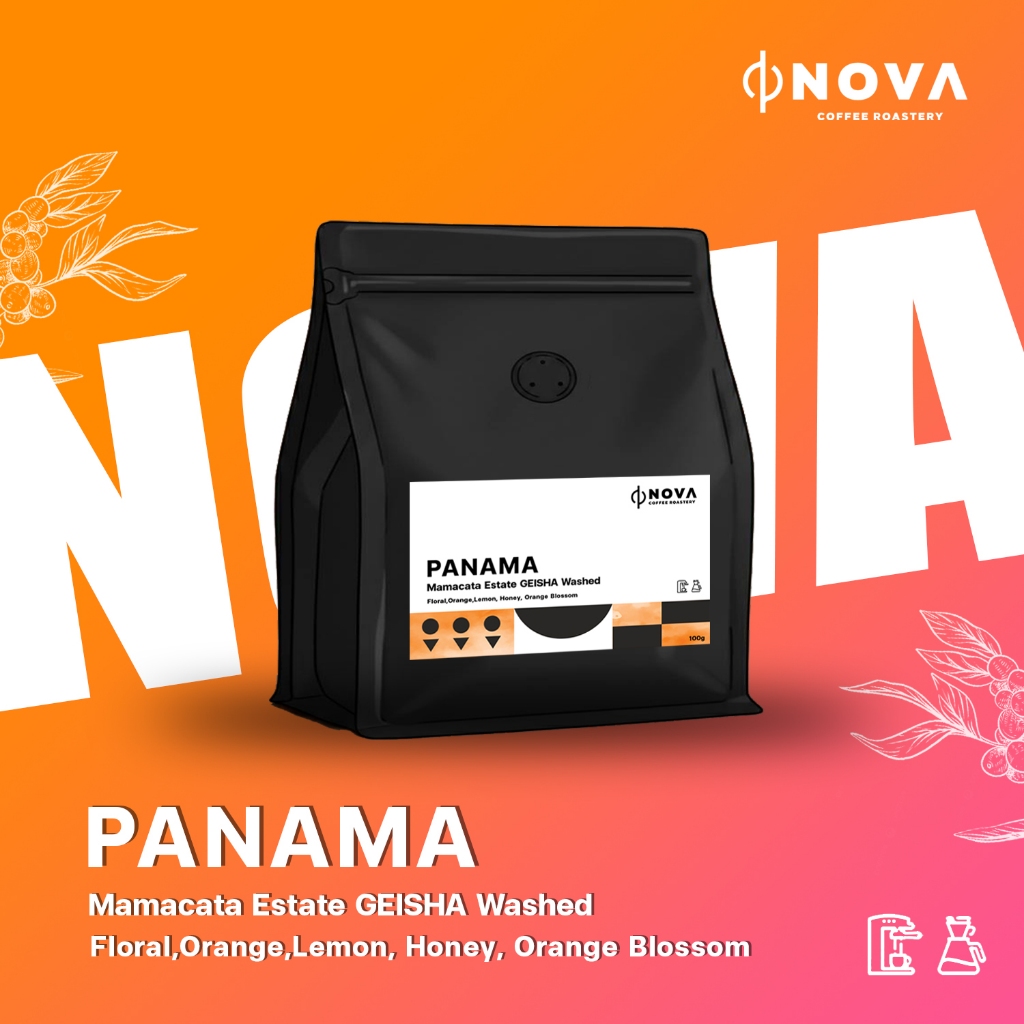 เมล็ดกาแฟคั่วอ่อน PANAMA GEISHA Washed NOVA 100g