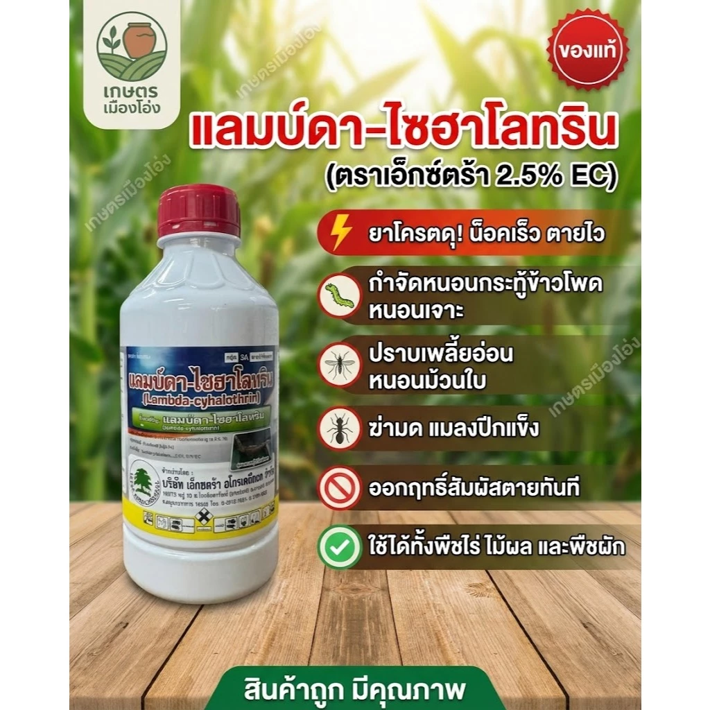 เเลมป์ดา-ไซฮาโลทริน เอ็กซ์ตร้า #แลมด้า สารกำจัดแมลง 1 ลิตร #แลมด้า #แลมบ์ด้า #สารกำจัดแมลง #เอ็กซ์ตร้า