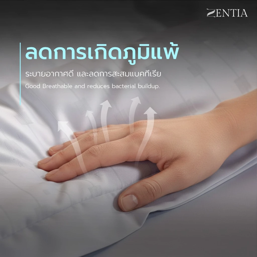 ZENTIA ชุดผ้าปู + ผ้านวม Lyocell Hypercool เยื่อไม้ธรรมชาติ กันไรฝุ่น ครบเซต 6 ชิ้น TC thumbnail 3