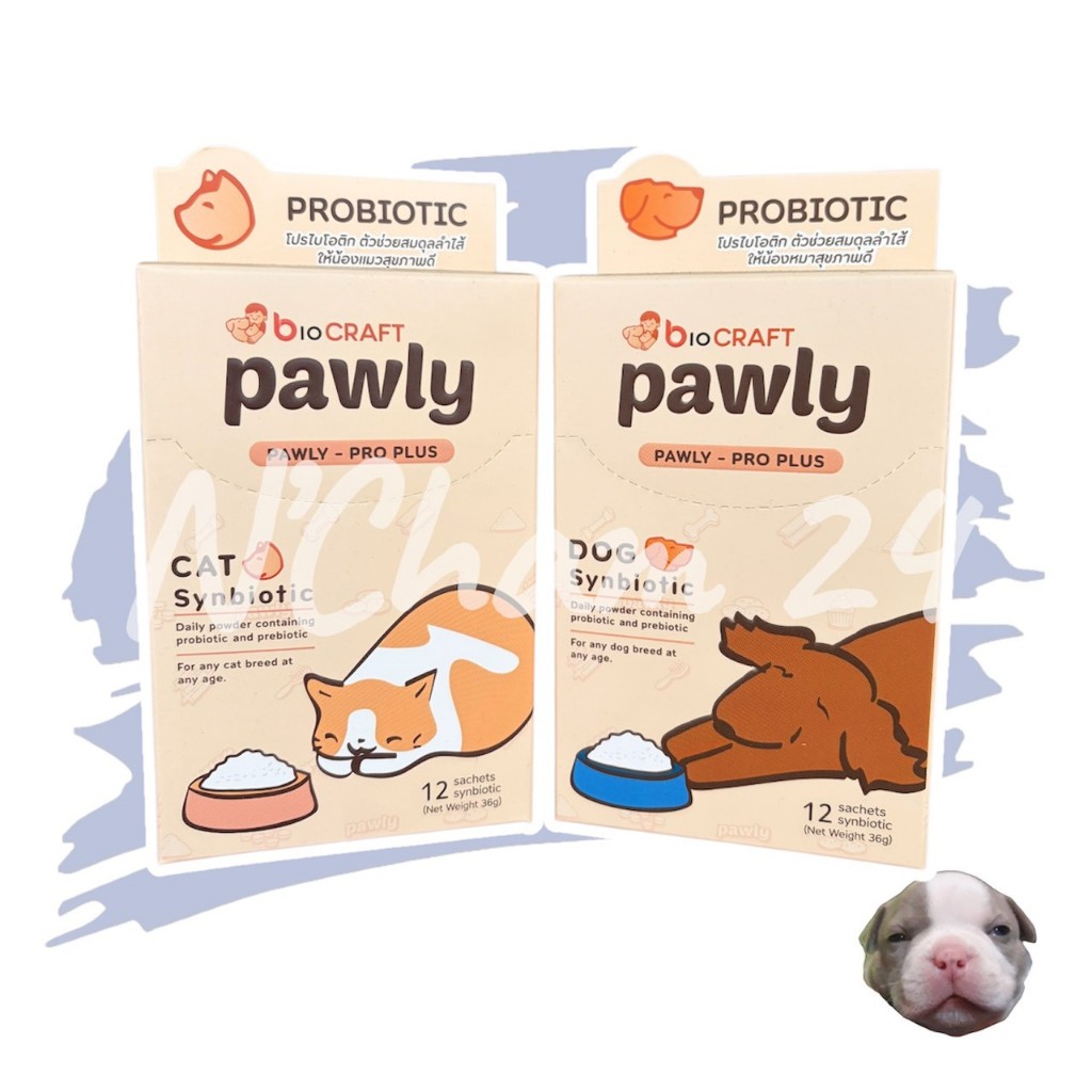 Pawly Pro plus Synbiotic ผงพรีไบโอติกและโปรไบโอติก สำหรับแมวและสุนัข 36g 1 กล่องบรรจุ