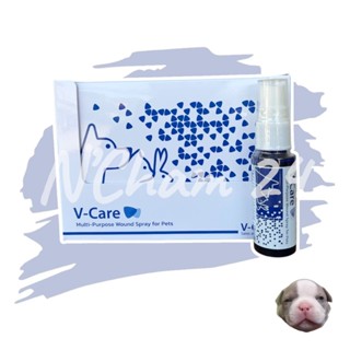 V-Care Blue Nano Multi-Purpose Spray 25 ml. บูลนาโนสเปรย์ ช่…