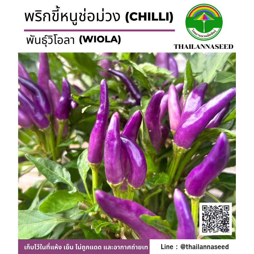 เมล็ดพันธุ์ผักสวนครัว พริกขี้หนูช่อม่วง พันธุ์วีโอลา ( ขนาด 1 กรัม ) รหัสสินค้า 6056