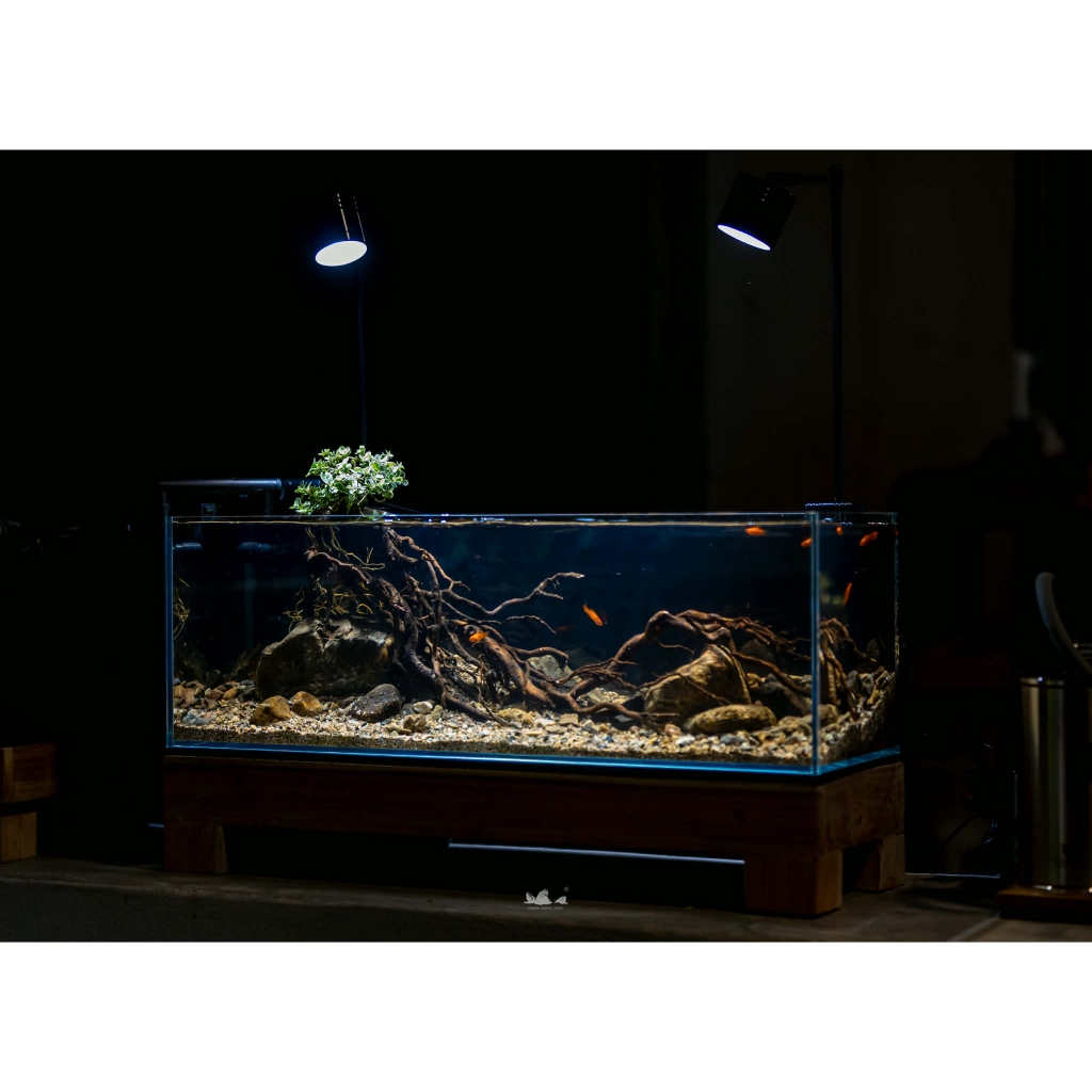 ⛱ Brown medium sand ทรายสำหรับตกแต่งตู้ปลา ตู้ไม้น้ำ ( ล้างสะอาด 80% ) กิโลกรัมละ 80.- - รูปที่ 2