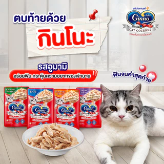 [ยกลัง 48 ซอง] Ginno กินโนะ อาหารเปียกแมว แมวโต มาตราฐาน ญี่ปุ่น อูมามิ ทานง่าย ไม่เติมเกลือ ไม่เค็ม เกรวี่ เยลลี