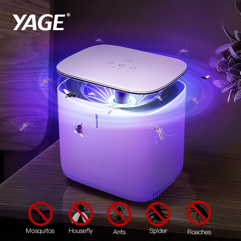 รูปภาพ 2