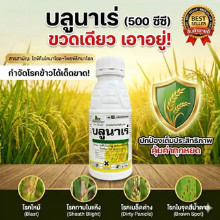 บลูนาเร่ 500ซีซี ไดฟีโนโคนาโซล+โพรพิโคนาโซล ตัวเดียวกับอามูเร่ กำจัดโรคเมล็ดด่างป้อง โรคกาบใบแห้งโรคราสนิมในข้าว ข้าวโพด