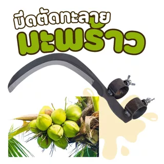 มีดตัดทะลาย ใบมีดเคียว สำหรับตัดมะพร้าว ตัดกล้วย ตัดหญ้า Curved Coconut Harvesting Sickle with Handle Clamp - High Carb
