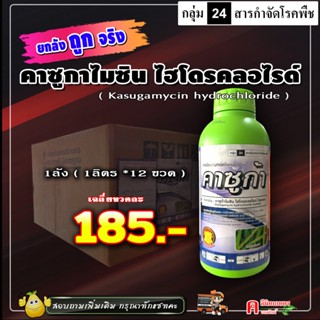 // ขายยกลัง // คาซูก้ามัยซิน คาซูกาไมซิน ( 12L) คาซูกามัยซิน…