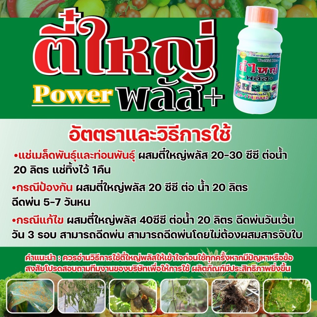 ตี๋ใหญ่พาวเวอร์พลัส ป้องกันและแก้ไขโรคเชื้อราทุกชนิด สารเสริมประสิทธิภาพ(น้ำดำ) ขนาด500cc และ1000cc - รูปที่ 2