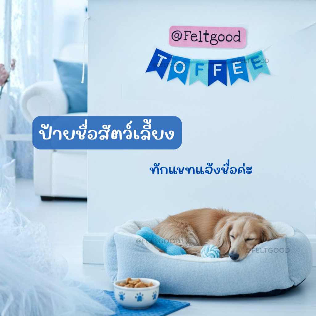 ป้ายชื่อสัตว์เลี้ยงขนาดเล็ก MINI NAME BANNER สำหรับแต่งรถเข็นสัตว์เลี้ยง Pet corner ทำจากผ้าสักหลาด