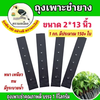 ถุงชำยาง ถุงเพาะชำยาง ขนาด 2*13 นิ้ว และ 2.5×13 นิ้ว ตรานกเงือกไทย คุณภาพดี หนาเหนียวทน (ขายเป็นกิโลกรัม)