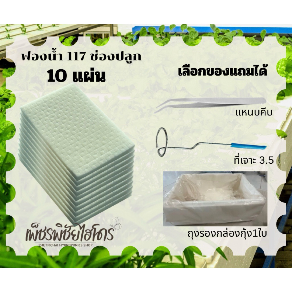 ฟองน้ำเพาะเมล็ดผักไฮโดรโปนิกส์​ ฟองน้ำเนื้อละเอียดขอบตัด แพ็ค 5,10 แผ่น