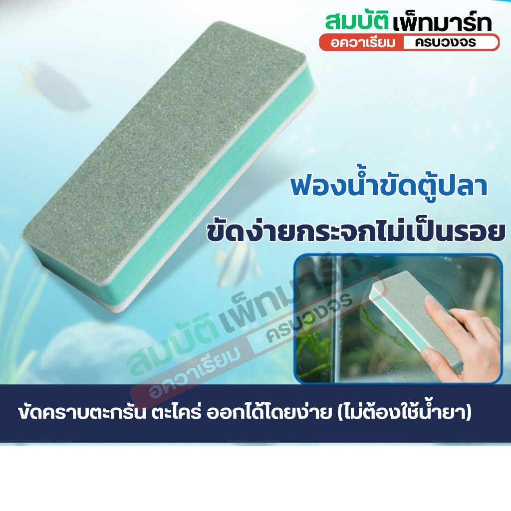 ฟองน้ำขัดตู้ปลา ฟองน้ำขัดอเนกประสงค์ แผ่นขัดคราบตะกรันตู้ปลา ที่ขัดตระไคร่น้ำ คราบน้ำฝังแน่นออกยาก
