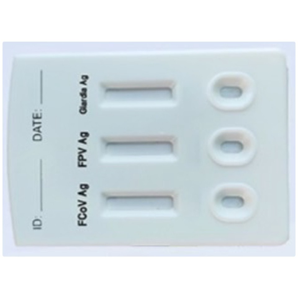 ชุดตรวจลำไส้แมว/พาโวโคโรนา/เชื้อโปรโตซัว แบบแบ่ง 1 test FCoV+FPV+Giardia Lamblia Antigen Combo Rapid